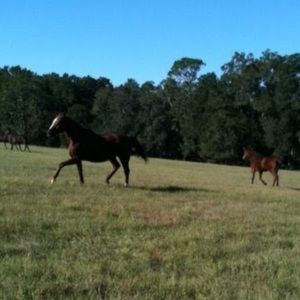 Meet your Posher, Laura